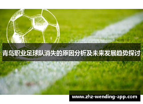 青岛职业足球队消失的原因分析及未来发展趋势探讨